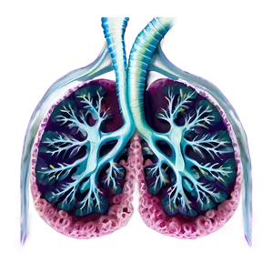 Lungs With Airflow Effect Png Mtp16 PNG image