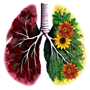 Lungs With Flowers Art Png 05232024 PNG image
