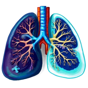 Lungs With Medical Tools Png 29 PNG image