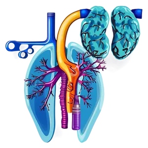 Lungs With Medical Tools Png 78 PNG image