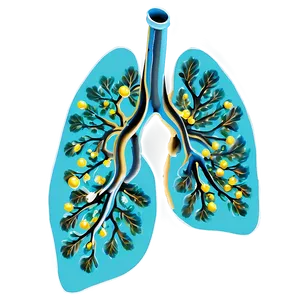 Lungs With Oxygen Molecules Png 05232024 PNG image