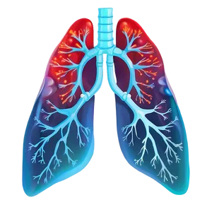 Lungs With Oxygen Molecules Png Aeg33 PNG image