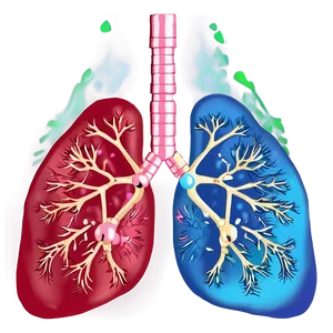 Lungs With Oxygen Molecules Png Yks17 PNG image