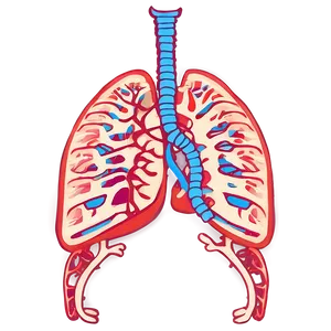 Lungs With Ribcage Outline Png Eok67 PNG image