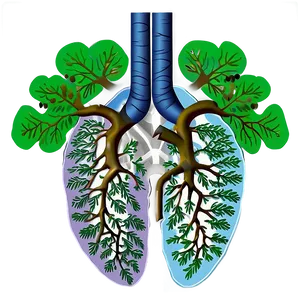 Lungs With Tree Roots Png 18 PNG image