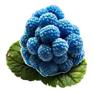 Luscious Blue Raspberry Png 06212024 PNG image