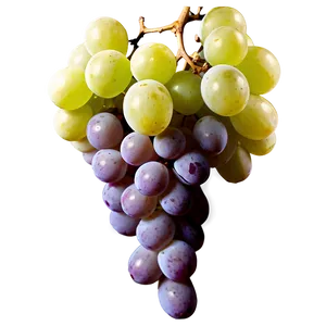 Luscious White Grape PNG 05232024