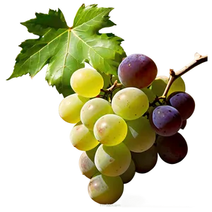 Luscious White Grape PNG 44