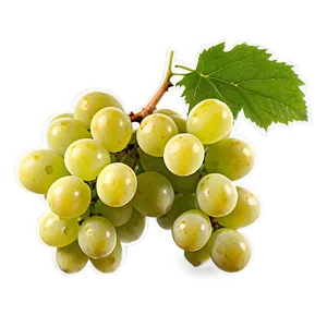 Luscious White Grape PNG Lkr
