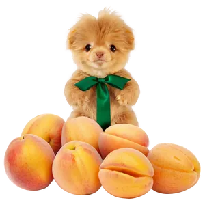Lush Apricot PNG Rcm33