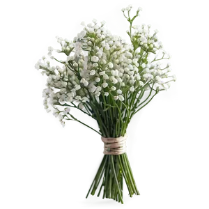 Lush Baby's Breath Bundle Png 06212024 PNG image