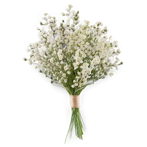 Lush Baby's Breath Bundle Png 63 PNG image