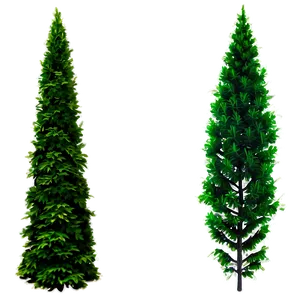 Lush Evergreen Tree Png Mhn PNG image