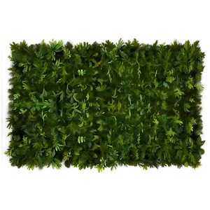 Lush Forest Carpet Texture PNG 06292024