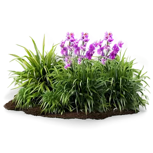 Lush Garden Grass Png Lvy PNG image