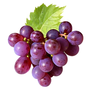 Lush Grape Image PNG 2 PNG