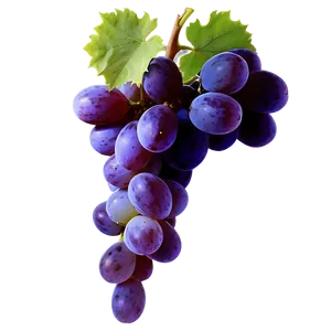 Lush Grape Image PNG 31 PNG