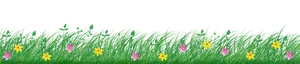 Lush Grass Borderwith Flowers PNG image