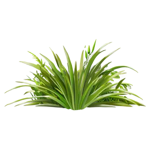 Lush Grass Clipart Png Srr71 PNG image