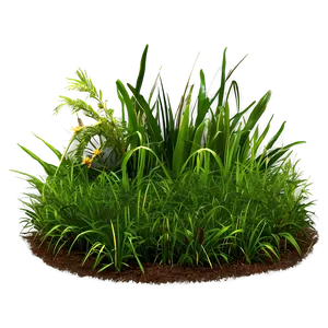 Lush Grass Patch Png 06212024 PNG image