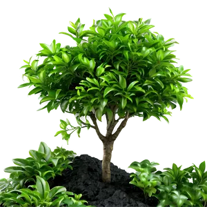 Lush Green Bush Png 86 PNG image