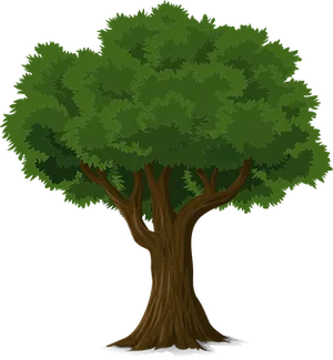Lush Green Cartoon Tree