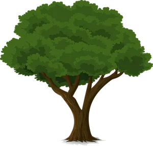 Lush Green Cartoon Tree