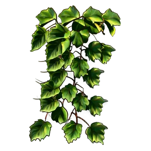 Lush Green Ivy Vine Graphic PNG image