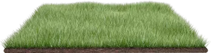 Lush Green Lawn Section PNG image