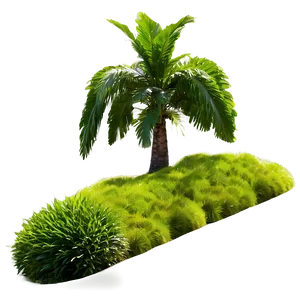 Lush Green Park PNG Fel