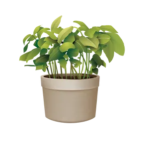 Lush Green Potted Plant Graphic PNG image