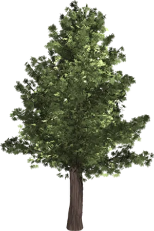 Lush Green Treeon Black Background