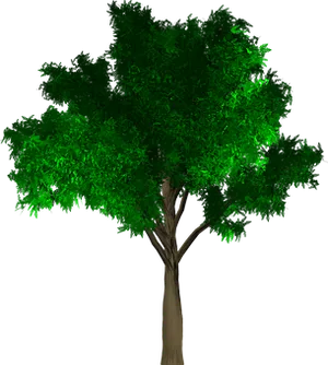 Lush Green Treeon Black Background