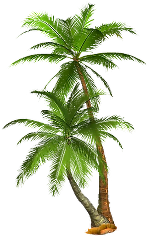 Lush Green Tropical Palm Tree.png PNG image