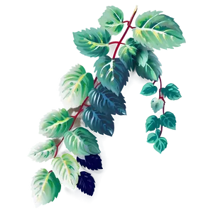 Lush Green Vine Illustration PNG image