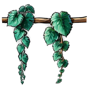 Lush Green Vine Illustration PNG image