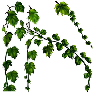 Lush Green Vine Illustration PNG image