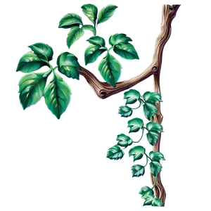Lush Green Vine Illustration PNG image