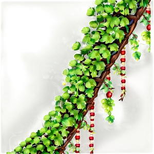 Lush Green Vinewith Red Berries PNG image