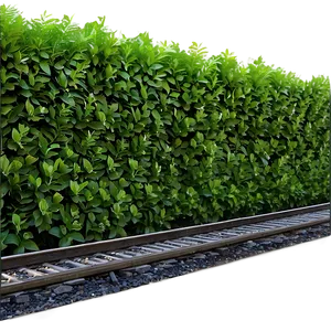 Lush Greenery Surrounding Railroad Tracks PNG Bnl3 PNG