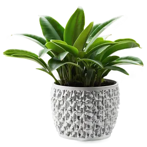 Lush Indoor Plant PNG Lfk26 PNG