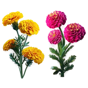 Lush Marigolds Arrangement Png 15 PNG image