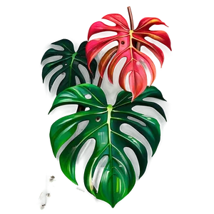 Lush Monstera Plant PNG Bjh PNG