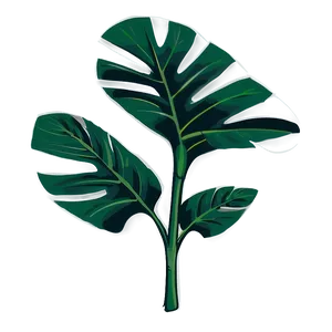Lush Monstera Plant PNG Yev PNG