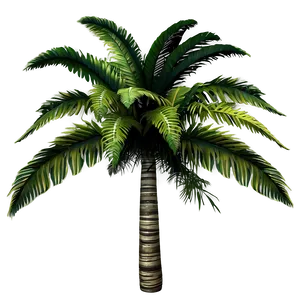 Lush Rainforest Canopy PNG Let