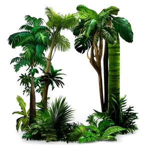Lush Rainforest Canopy PNG Nss