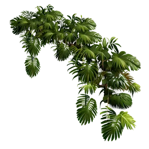 Lush Rainforest Canopy PNG Twq77