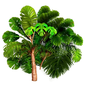 Lush Rainforest Canopy PNG Yab35