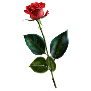 Lush Red Rose PNG Elf