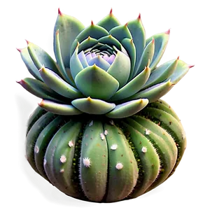 Lush Succulent Png 44 PNG image